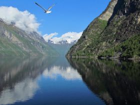 Geiranger2015-1253.JPG